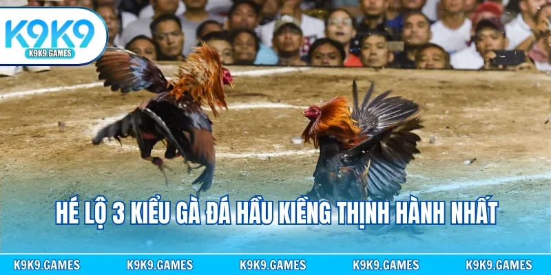 Hé lộ 3 kiểu gà đá hầu kiềng thịnh hành nhất