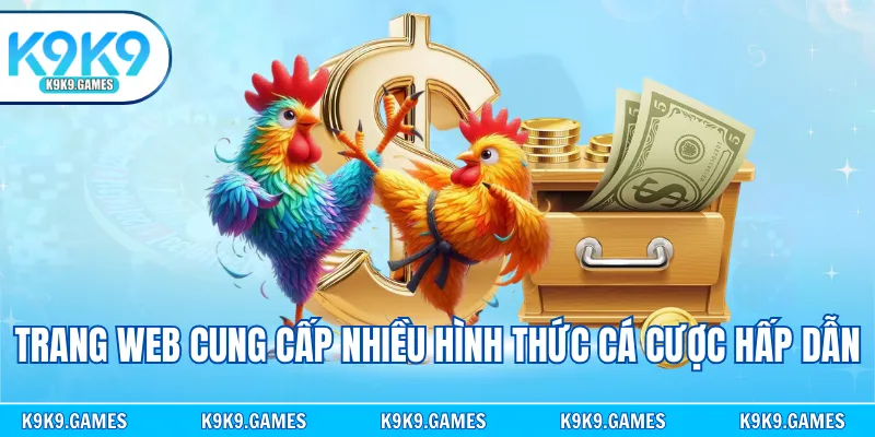 Trang web cung cấp nhiều hình thức cá cược hấp dẫn